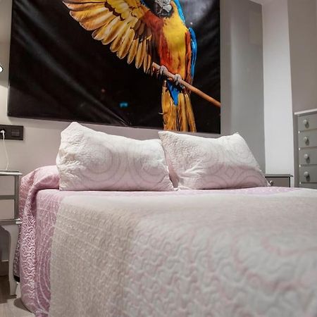 Apartamento Ventanal Ateca Eksteriør billede